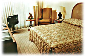 Senior Suite