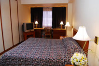 one bedroom park tower in century park